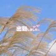 ヒメ日記 2024/11/18 17:50 投稿 ゆうこ★美魔女★品のある女性が豹変！ 奥さま日記（今治店）