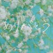 ヒメ日記 2025/01/05 13:36 投稿 ゆうこ★美魔女★品のある女性が豹変！ 奥さま日記（今治店）