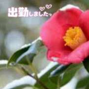 ヒメ日記 2025/01/13 17:48 投稿 ゆうこ★美魔女★品のある女性が豹変！ 奥さま日記（今治店）