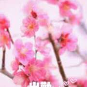 ヒメ日記 2025/01/17 17:54 投稿 ゆうこ★美魔女★品のある女性が豹変！ 奥さま日記（今治店）