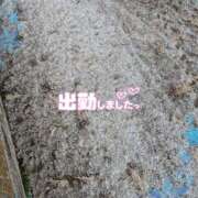 ヒメ日記 2025/02/04 17:56 投稿 ゆうこ★美魔女★品のある女性が豹変！ 奥さま日記（今治店）