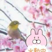 ヒメ日記 2025/02/14 19:42 投稿 ゆうこ★美魔女★品のある女性が豹変！ 奥さま日記（今治店）