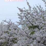 ヒメ日記 2025/03/29 18:58 投稿 ゆうこ★美魔女★品のある女性が豹変！ 奥さま日記（今治店）