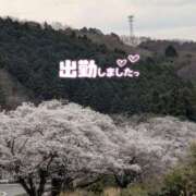 ヒメ日記 2025/04/01 17:46 投稿 ゆうこ★美魔女★品のある女性が豹変！ 奥さま日記（今治店）