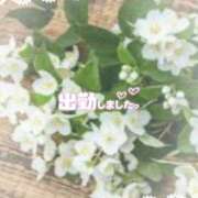 ヒメ日記 2025/04/05 18:48 投稿 ゆうこ★美魔女★品のある女性が豹変！ 奥さま日記（今治店）