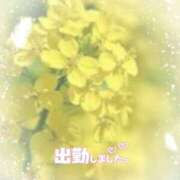 ヒメ日記 2025/04/11 17:50 投稿 ゆうこ★美魔女★品のある女性が豹変！ 奥さま日記（今治店）