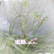 ヒメ日記 2025/04/17 17:50 投稿 ゆうこ★美魔女★品のある女性が豹変！ 奥さま日記（今治店）