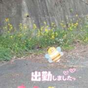 ヒメ日記 2025/04/19 18:46 投稿 ゆうこ★美魔女★品のある女性が豹変！ 奥さま日記（今治店）