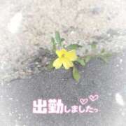 ヒメ日記 2025/04/26 18:46 投稿 ゆうこ★美魔女★品のある女性が豹変！ 奥さま日記（今治店）