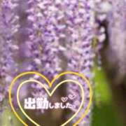 ヒメ日記 2025/05/12 17:48 投稿 ゆうこ★美魔女★品のある女性が豹変！ 奥さま日記（今治店）