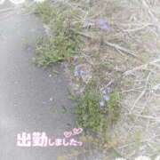 ヒメ日記 2025/05/15 17:52 投稿 ゆうこ★美魔女★品のある女性が豹変！ 奥さま日記（今治店）