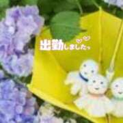 ヒメ日記 2025/06/02 17:50 投稿 ゆうこ★美魔女★品のある女性が豹変！ 奥さま日記（今治店）