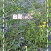 ヒメ日記 2025/06/04 18:00 投稿 ゆうこ★美魔女★品のある女性が豹変！ 奥さま日記（今治店）