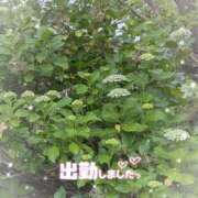 ヒメ日記 2025/06/07 18:46 投稿 ゆうこ★美魔女★品のある女性が豹変！ 奥さま日記（今治店）