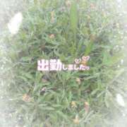 ヒメ日記 2025/06/17 17:48 投稿 ゆうこ★美魔女★品のある女性が豹変！ 奥さま日記（今治店）