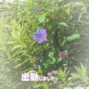 ヒメ日記 2025/06/27 17:52 投稿 ゆうこ★美魔女★品のある女性が豹変！ 奥さま日記（今治店）