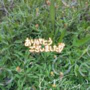 ヒメ日記 2025/06/29 19:18 投稿 ゆうこ★美魔女★品のある女性が豹変！ 奥さま日記（今治店）