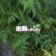 ヒメ日記 2025/06/30 17:54 投稿 ゆうこ★美魔女★品のある女性が豹変！ 奥さま日記（今治店）