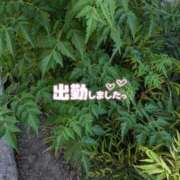 ヒメ日記 2025/07/05 18:50 投稿 ゆうこ★美魔女★品のある女性が豹変！ 奥さま日記（今治店）