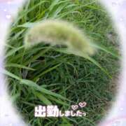 ヒメ日記 2025/07/11 17:48 投稿 ゆうこ★美魔女★品のある女性が豹変！ 奥さま日記（今治店）