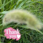 ヒメ日記 2025/07/12 04:34 投稿 ゆうこ★美魔女★品のある女性が豹変！ 奥さま日記（今治店）