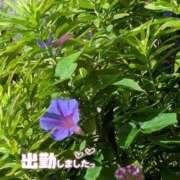 ヒメ日記 2025/07/16 17:44 投稿 ゆうこ★美魔女★品のある女性が豹変！ 奥さま日記（今治店）