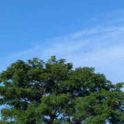 ヒメ日記 2025/07/21 17:52 投稿 ゆうこ★美魔女★品のある女性が豹変！ 奥さま日記（今治店）