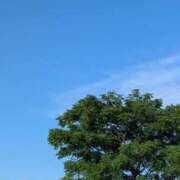 ヒメ日記 2025/07/25 17:54 投稿 ゆうこ★美魔女★品のある女性が豹変！ 奥さま日記（今治店）