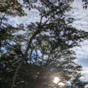 ヒメ日記 2025/08/20 17:49 投稿 ゆうこ★美魔女★品のある女性が豹変！ 奥さま日記（今治店）