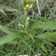 ヒメ日記 2025/08/27 17:49 投稿 ゆうこ★美魔女★品のある女性が豹変！ 奥さま日記（今治店）