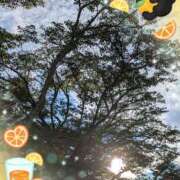 ヒメ日記 2025/09/19 17:48 投稿 ゆうこ★美魔女★品のある女性が豹変！ 奥さま日記（今治店）