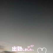 ヒメ日記 2025/11/19 17:52 投稿 ゆうこ★美魔女★品のある女性が豹変！ 奥さま日記（今治店）