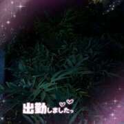 ヒメ日記 2025/12/01 17:46 投稿 ゆうこ★美魔女★品のある女性が豹変！ 奥さま日記（今治店）