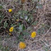 ヒメ日記 2026/01/22 18:19 投稿 ゆうこ★美魔女★品のある女性が豹変！ 奥さま日記（今治店）