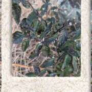 ヒメ日記 2026/02/05 18:08 投稿 ゆうこ★美魔女★品のある女性が豹変！ 奥さま日記（今治店）