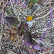 ヒメ日記 2026/02/16 20:59 投稿 ゆうこ★美魔女★品のある女性が豹変！ 奥さま日記（今治店）