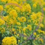 ヒメ日記 2026/02/28 17:50 投稿 ゆうこ★美魔女★品のある女性が豹変！ 奥さま日記（今治店）