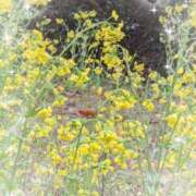 ヒメ日記 2026/03/03 17:51 投稿 ゆうこ★美魔女★品のある女性が豹変！ 奥さま日記（今治店）