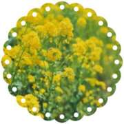 ヒメ日記 2026/03/20 17:49 投稿 ゆうこ★美魔女★品のある女性が豹変！ 奥さま日記（今治店）