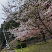 ヒメ日記 2026/04/02 16:48 投稿 ゆうこ★美魔女★品のある女性が豹変！ 奥さま日記（今治店）