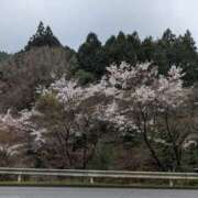 ヒメ日記 2026/04/07 17:56 投稿 ゆうこ★美魔女★品のある女性が豹変！ 奥さま日記（今治店）