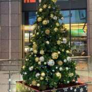 ヒメ日記 2025/12/13 12:12 投稿 つばき ミラー