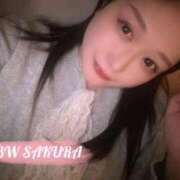 桜 再起動 BBW（ビッグビューティフルウーマン）