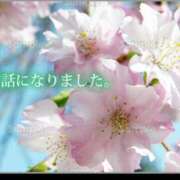 ヒメ日記 2025/03/29 20:52 投稿 りお 完熟ばなな千葉店