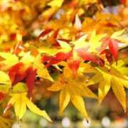 ヒメ日記 2025/09/27 20:22 投稿 りお 完熟ばなな千葉店