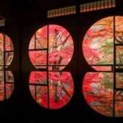 ヒメ日記 2025/11/23 09:02 投稿 りお 完熟ばなな千葉店