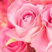 ヒメ日記 2025/12/28 20:52 投稿 りお 完熟ばなな千葉店