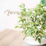 ヒメ日記 2026/01/14 20:32 投稿 りお 完熟ばなな千葉店