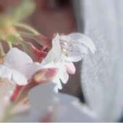 ヒメ日記 2026/04/02 17:50 投稿 あこ 即トク奥さん