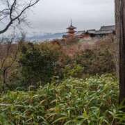 つかさ お礼 即トク奥さん